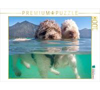 CALVENDO Puzzle Couple de Lagotto Romagnolo nageant avec Vue sous-Marine 1000 Pieces 64 x 48 cm from wuffclick-pic