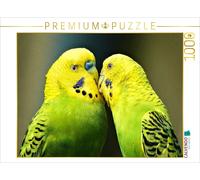 Puzzle CALVENDO Un couple de perruches amoureuses | 1000 pièces, format assemblé