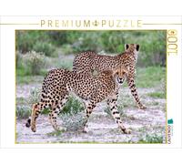 CALVENDO Puzzle Duo Guépard 1000 Pieces 64 x 48 cm from Wibke Woyke
