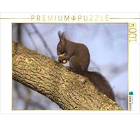 Puzzle CALVENDO Un écureuil affamé | 1000 pièces, format assemblé 64 × 48 cm | P