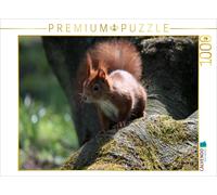 CALVENDO Puzzle Eichhörnchen im Licht 1000 Teile Puzzle quer 1000 Pieces 64 x 48 cm from SchnelleWelten