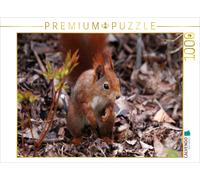 CALVENDO Puzzle Eichhörnchen im Herbstlaub 1000 Teile Puzzle quer 1000 Pieces 64 x 48 cm from SchnelleWelten