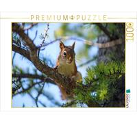 Puzzle CALVENDO Un écureuil parmi les branches de mélèzes | 1000 pièces, format
