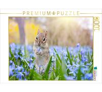 CALVENDO Puzzle Chipmunk dans la Prairie au Printemps 1000 Pieces 64 x 48 cm from Elisabeth Stanzer