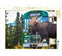 CALVENDO Puzzle Orignal mâle dans Le Parc National de Denali 1000 Pieces 64 x 48 cm from Uwe Bergwitz