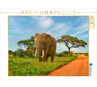 CALVENDO Puzzle éléphant de Passage 1000 Pieces 64 x 48 cm from Heinz-Peter Schwerin