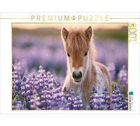 Puzzle CALVENDO Un été plein de moments de bonheur | 1000 pièces, format assembl