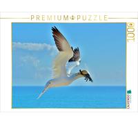 CALVENDO Puzzle Fous de Bassan s'approchant de la Terre 1000 Pieces 64 x 48 cm from René Schaack