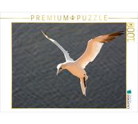 CALVENDO Puzzle Fous de Bassan en vol 1000 Pieces 64 x 48 cm from Katrin Streiparth