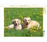 Puzzle CALVENDO Un golden retriever au printemps | 1000 pièces, format assemblé