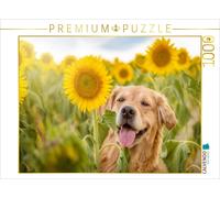 CALVENDO Puzzle Golden Retriever dans Un Champ de tournesols 1000 Pieces 64 x 48 cm from Daniela Hofmeister