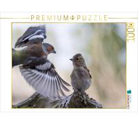 Puzzle CALVENDO Un jeune pinson attend qu'on lui donne à manger | 1000 pièces, f