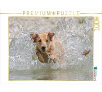 CALVENDO Puzzle L'action du Yellow Labrador sur l'eau 1000 Pieces 64 x 48 cm from Cornelia Strunz