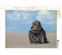 CALVENDO Puzzle Un Irish Wolfhound se détend au Soleil sur la Plage 1000 Pieces 64 x 48 cm from Annett Mirsberger