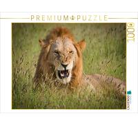 CALVENDO Puzzle Lion dans l'herbe 1000 Pieces 64 x 48 cm from Heinz-Peter Schwerin