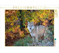 Puzzle CALVENDO Un loup dans la forêt en automne | 1000 pièces, format assemblé