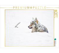 CALVENDO Puzzle Un Loup Couvert de Neige est allongé dans la Neige 1000 Pieces 64 x 48 cm from Wilfried Martin
