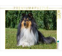 CALVENDO Puzzle Un splendide mâle Collie Tricolore 1000 Pieces 64 x 48 cm from Sista-Tierfoto