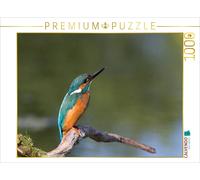 Puzzle CALVENDO Un martin-pêcheur perché sur un perchoir | 1000 pièces, format a