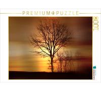 CALVENDO Puzzle Matin d'hiver 1000 Pieces 64 x 48 cm from Anke Brehm