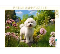 Puzzle CALVENDO Un motif du calendrier "Bichon frisé, petit chien blanc au poil