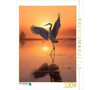 Puzzle CALVENDO Un motif du calendrier La danse des oiseaux | 1000 pièces, forma
