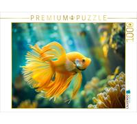 Puzzle CALVENDO Un motif du calendrier Poissons exotiques | 1000 pièces, format