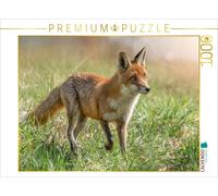 Puzzle CALVENDO Un motif du calendrier Renards - des âmes enchantées | 1000 pièc