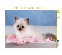 Puzzle CALVENDO Un motif du calendrier Sacré de Birmanie Kitten - un rêve sur pa