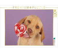 Puzzle CALVENDO Un motif tiré du calendrier Attention, les chiots arrivent. | 10