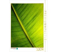 Puzzle CALVENDO Un motif tiré du calendrier « Structures de feuilles » | 1000 pi