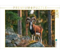 Puzzle CALVENDO Un mouflon fier se tient sur un rocher dans la forêt et est écla