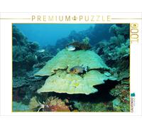 Puzzle CALVENDO Un paysage sous-marin impressionnant dans le paradis insulaire d
