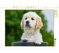 Puzzle CALVENDO Un petit bout de chou | 1000 pièces, format assemblé 64 × 48 cm