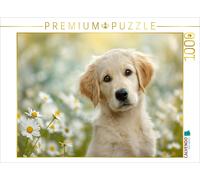 Puzzle CALVENDO Un regard, et ton cœur fondra | 1000 pièces, format assemblé 64
