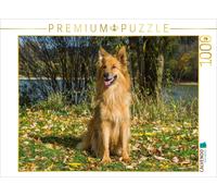 CALVENDO Puzzle Renard du Harz en Automne 1000 Pieces 64 x 48 cm from Sista-Tierfoto