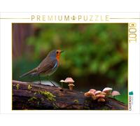 CALVENDO Puzzle Robin dans la forêt 1000 Pieces 64 x 48 cm from Lutz Klapp