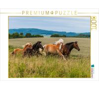 CALVENDO Puzzle Troupeau de Chevaux au pâturage 1000 Pieces 64 x 48 cm from Sista-Tierfoto