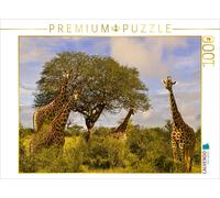 CALVENDO Puzzle Troupeau de girafes à Un Arbre 1000 Pieces 64 x 48 cm from Heinz-Peter Schwerin