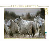 Puzzle CALVENDO Un troupeau de moutons au bord de la mer | 1000 pièces, format a