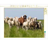 Puzzle CALVENDO Un troupeau de moutons sur la digue en Frise orientale | 1000 pi