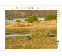 Puzzle CALVENDO Un wombat dans le parc national de Narawntapu | 1000 pièces, for