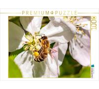 Puzzle CALVENDO Une abeille en train de butiner | 1000 pièces, format assemblé 6