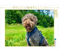 Puzzle CALVENDO Une adorable chienne | 1000 pièces, format assemblé 64 × 48 cm |