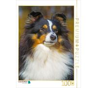 Puzzle CALVENDO Une adorable chienne tricolore | 1000 pièces, format assemblé 64