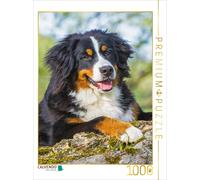 Puzzle CALVENDO Une adorable jeune chienne | 1000 pièces, format assemblé 64 × 4