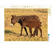 CALVENDO Puzzle Eselstute mit Fohlen 1000 Teile Puzzle quer 1000 Pieces 64 x 48 cm from Meike Bölts