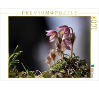 CALVENDO Puzzle Une beauté Rare 1000 Pieces 64 x 48 cm from Pörli Won