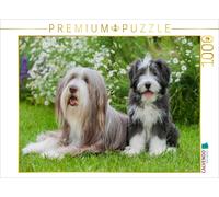 Puzzle CALVENDO Une chienne Bearded Collie et son chiot | 1000 pièces, format as