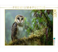 Puzzle CALVENDO Une chouette aux pieds rouges rare dans la forêt tropicale | 100